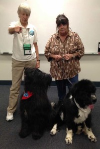 two women with two dogs